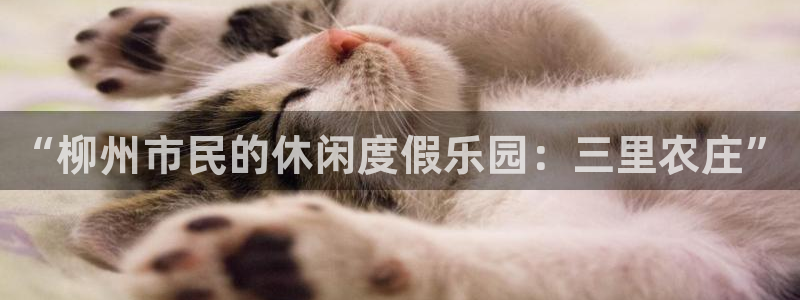 天顺娱乐已78778卧