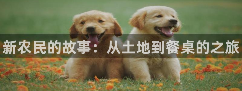天顺娱乐陈7O667