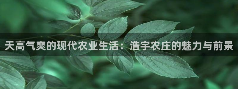 天顺娱乐露汤70648