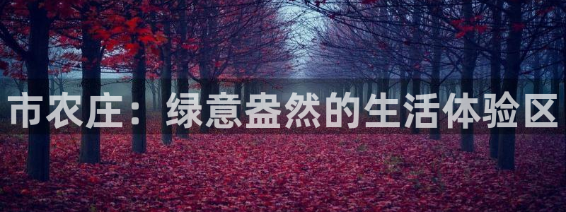 天顺娱乐pg22650