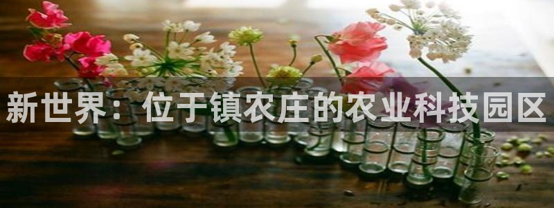 天顺娱乐科33300j