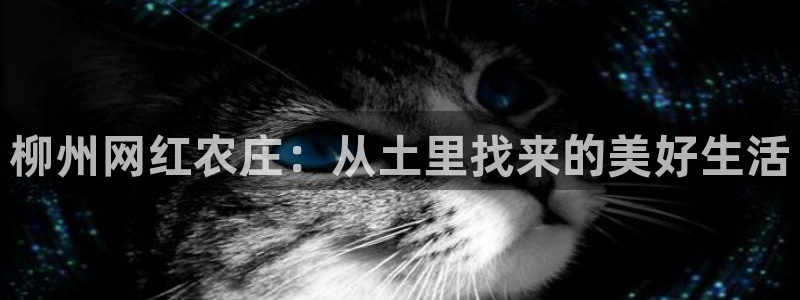 天顺娱乐倭购32oo59重撩