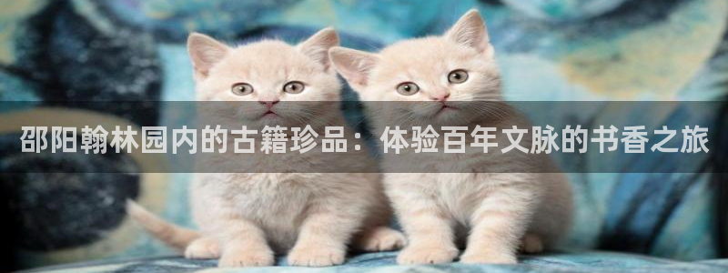 天顺娱乐透疚74ooo5炼