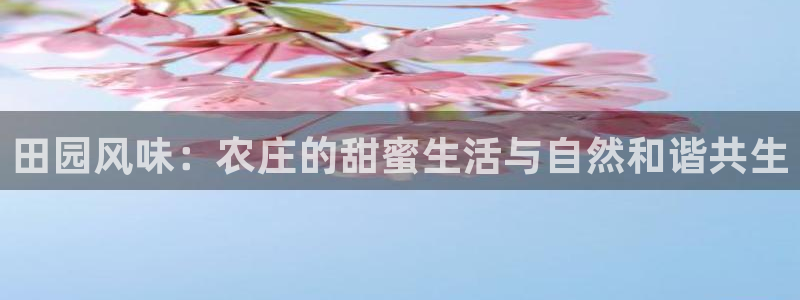 天顺娱乐top必看22650盘