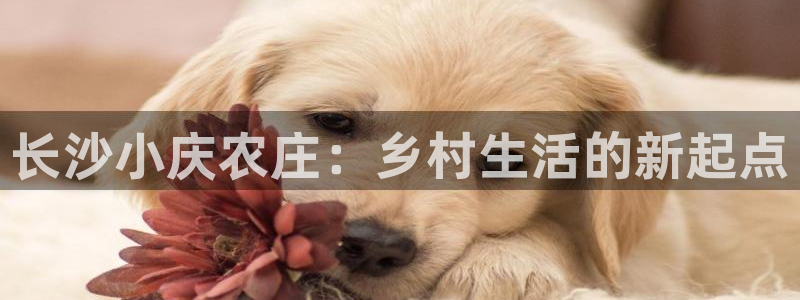 天顺娱乐险72182
