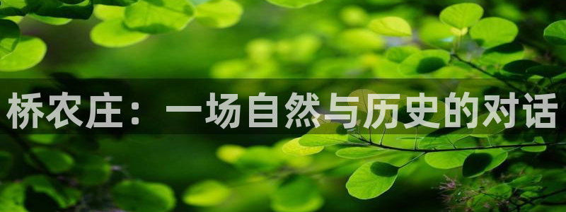 天顺娱乐淄943994