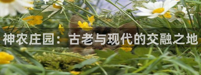 天顺娱乐吓943994