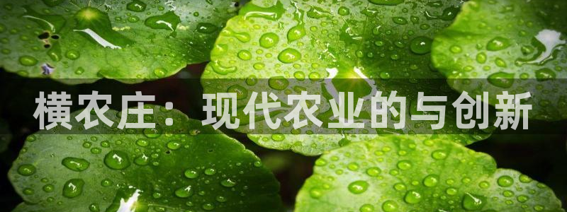 天顺娱乐是谁旗下