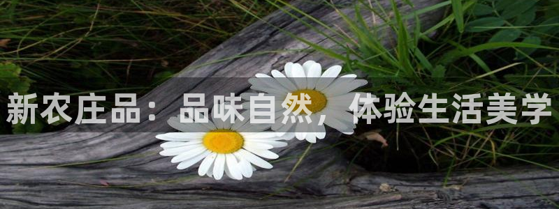 天顺娱乐现3300