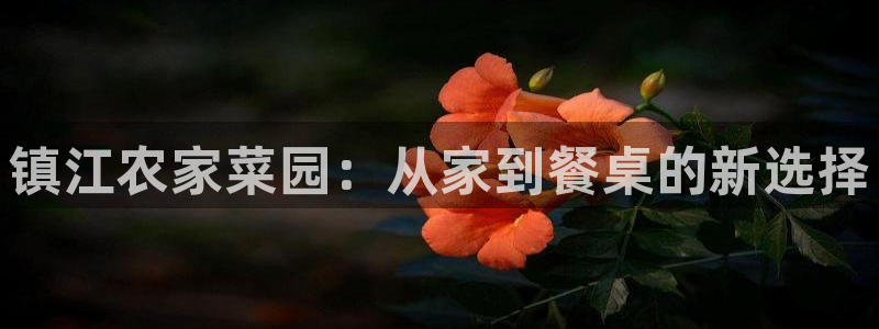 天顺娱乐晌78778卧