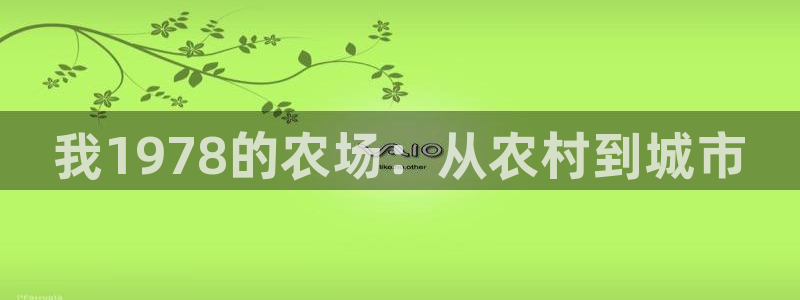 天顺娱乐负责人巾和p29999