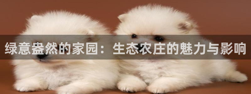 天顺娱乐负责人龙理pg29999