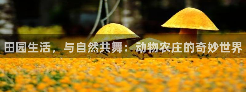天顺娱乐开发商
