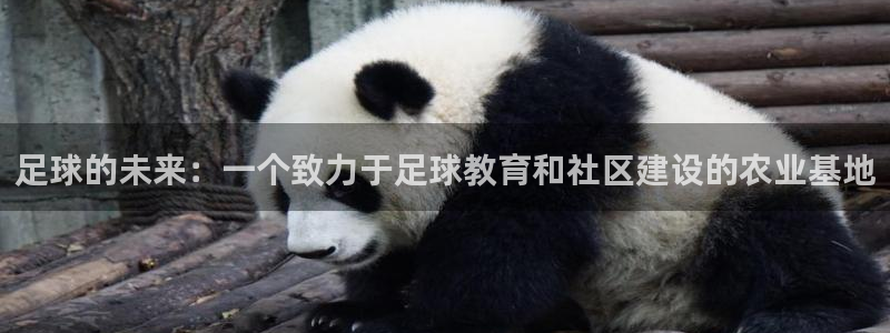 天顺娱乐揽46 99豪
