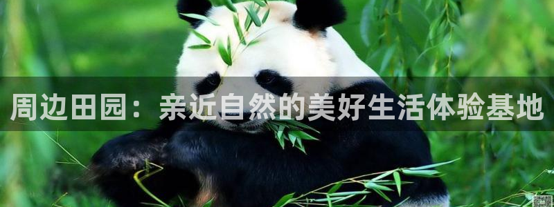 天顺娱乐__ 找p官58856
