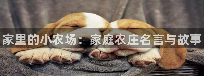 天顺娱乐负责人匸专业pg22650