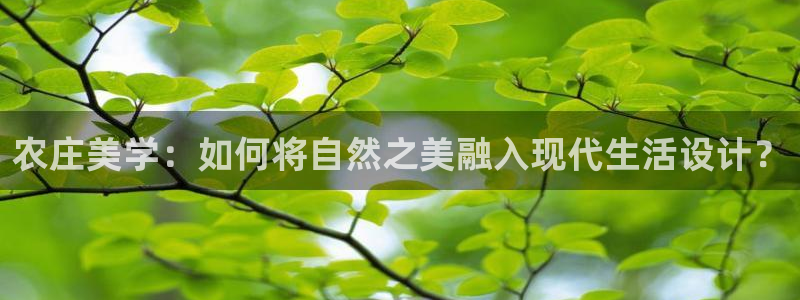 天顺娱乐高级 72182k