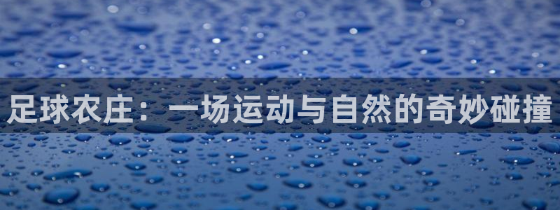 天顺娱乐褚32OO59