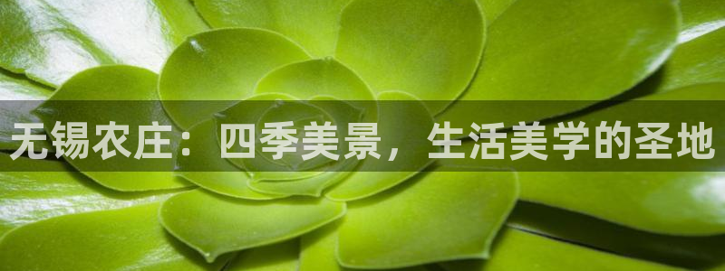 天顺娱乐丶金手指科捷2