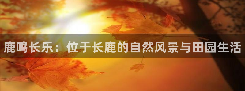 天顺娱乐主管兹徽qv963 03蓉