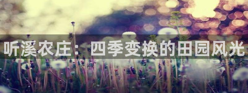 天顺娱乐代理怎么样
