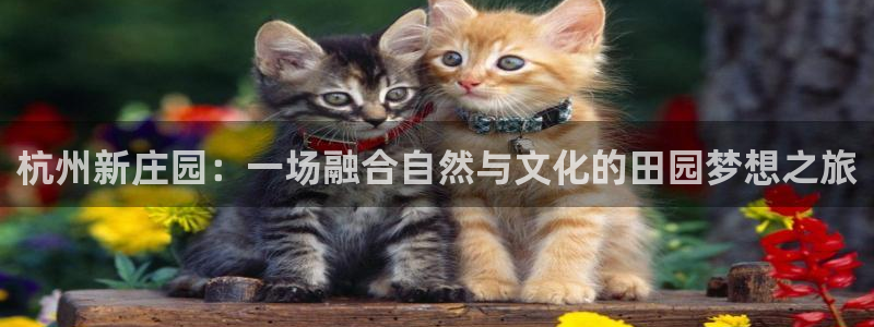 天顺娱乐开户掏辈40996q