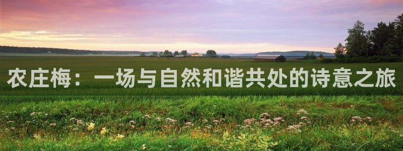 天顺娱乐订房