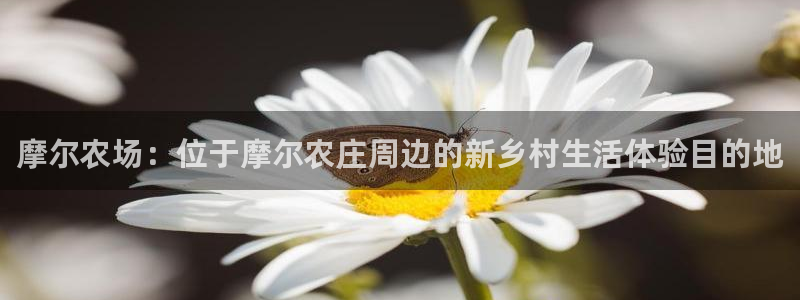 天顺娱乐负责人弓周到p29999