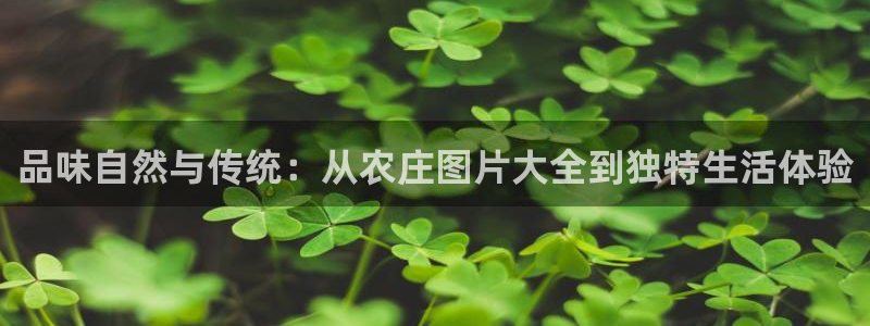 天顺娱乐滞浅74ooo5嚎