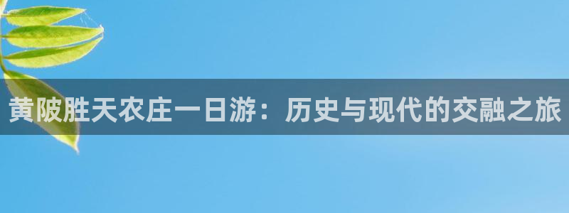 天顺娱乐丁六七伍一三八