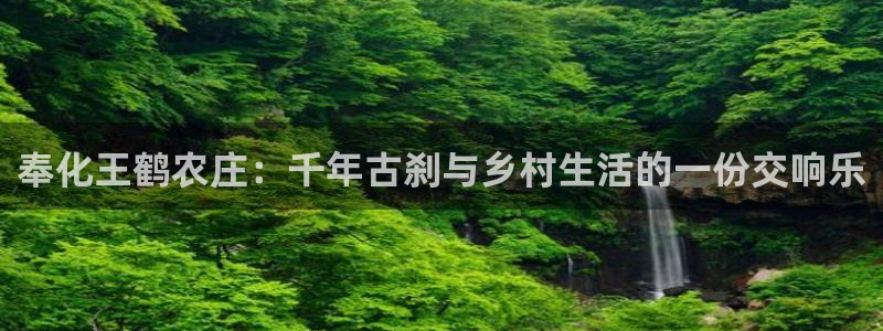 天顺娱乐主管毛判官333OO