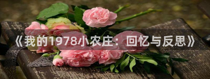 天顺娱乐铣愿裙么