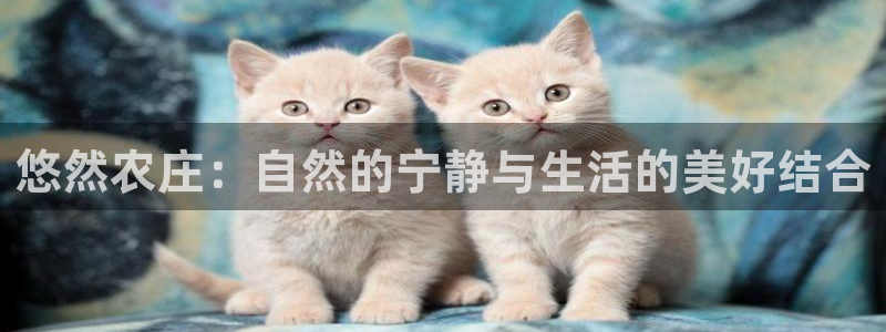 天顺休闲娱乐中心地址