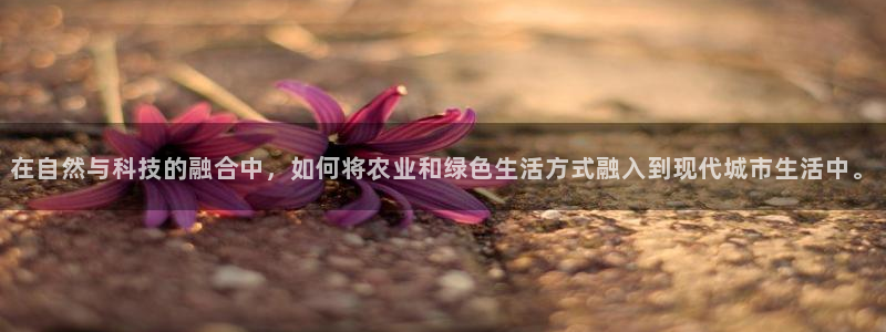 天顺娱乐负责人癶引领p29999