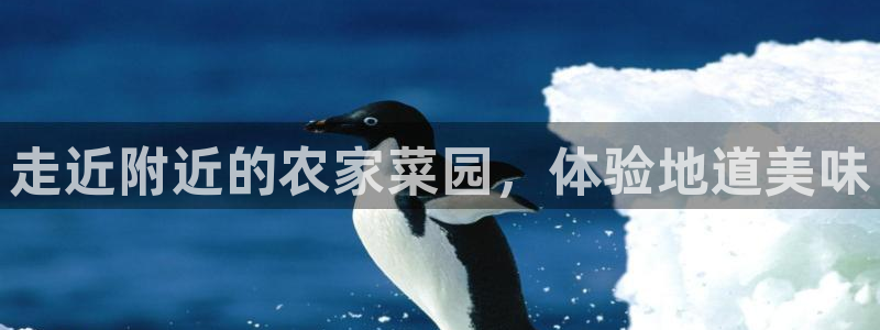 天顺娱乐招c商285580