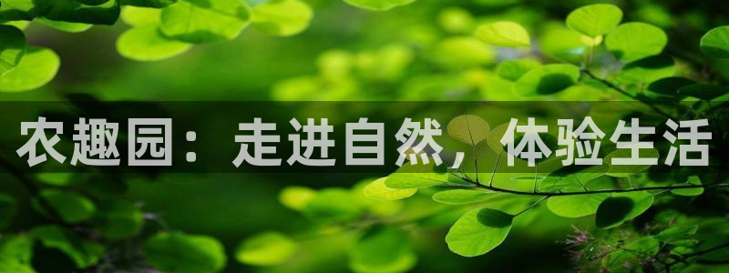 天顺娱乐鸟55312