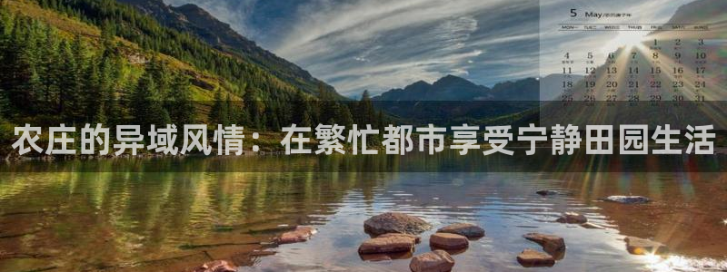 天顺娱乐巾v96303