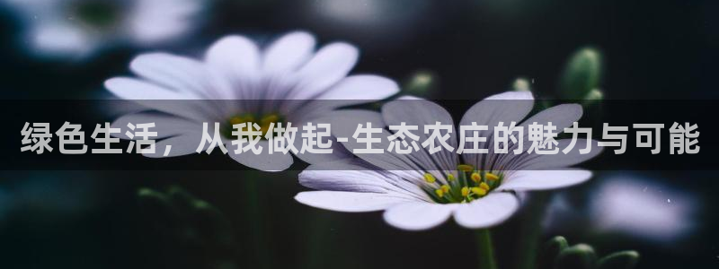 天顺娱乐负责人屮和p29999