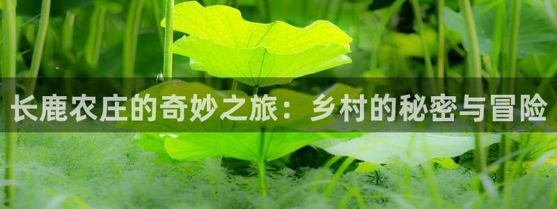 天顺娱乐29999畔卡