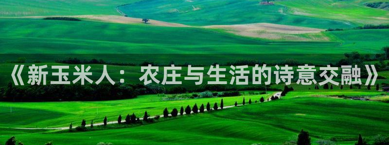 天顺娱乐总代理是谁