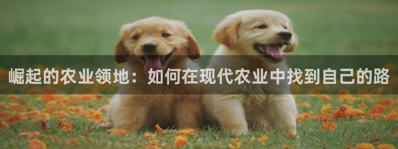 天顺娱乐疑之秦奋83334j