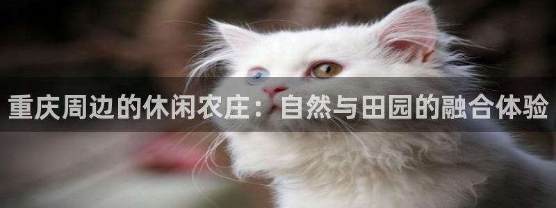 天顺娱乐罒金手指排名2