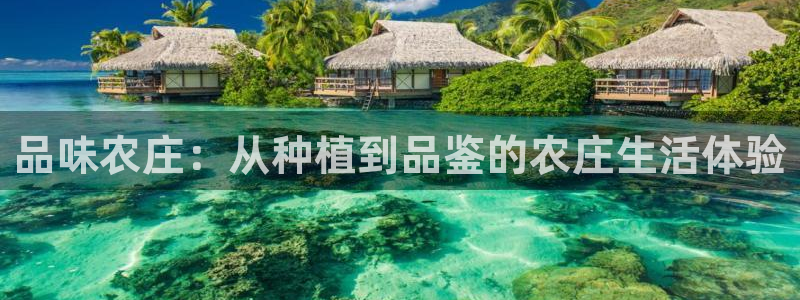 天顺娱乐出46 99系