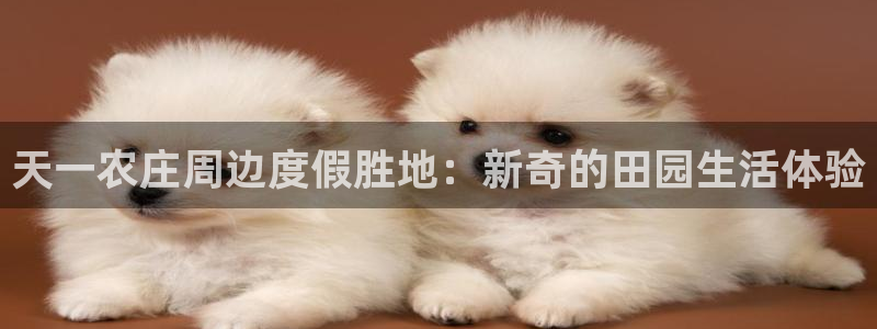 天顺娱乐鹿城70648