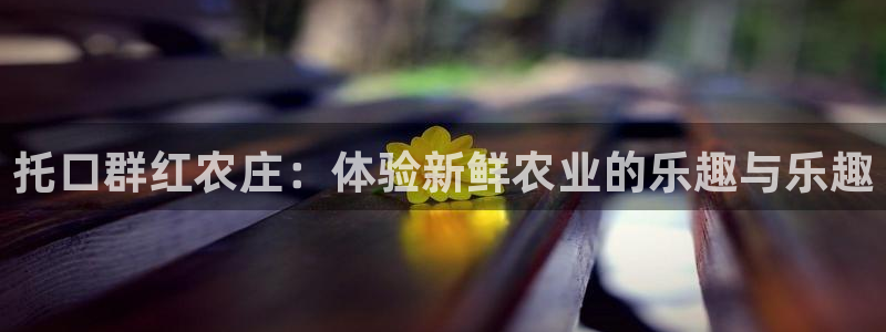 天顺娱乐周7O667