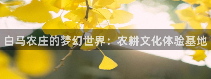 李天顺讲娱乐