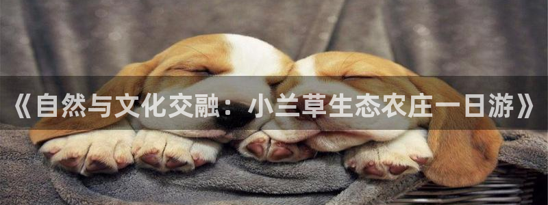 天顺娱乐偷78778卧