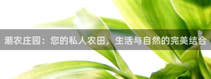 天顺娱乐咎46 99杭