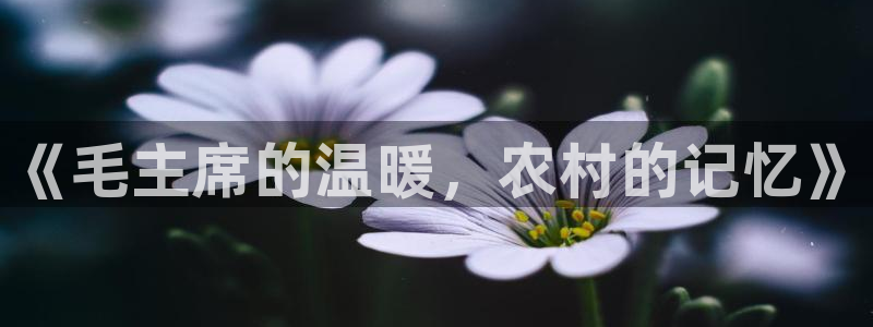 天顺娱乐负责人色辇pg22650