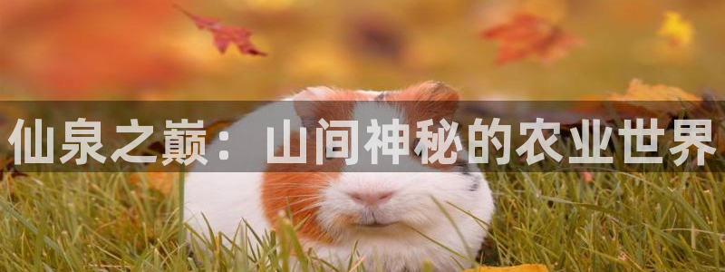 天顺娱乐陌3300